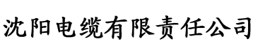 小莉电影网电缆厂logo